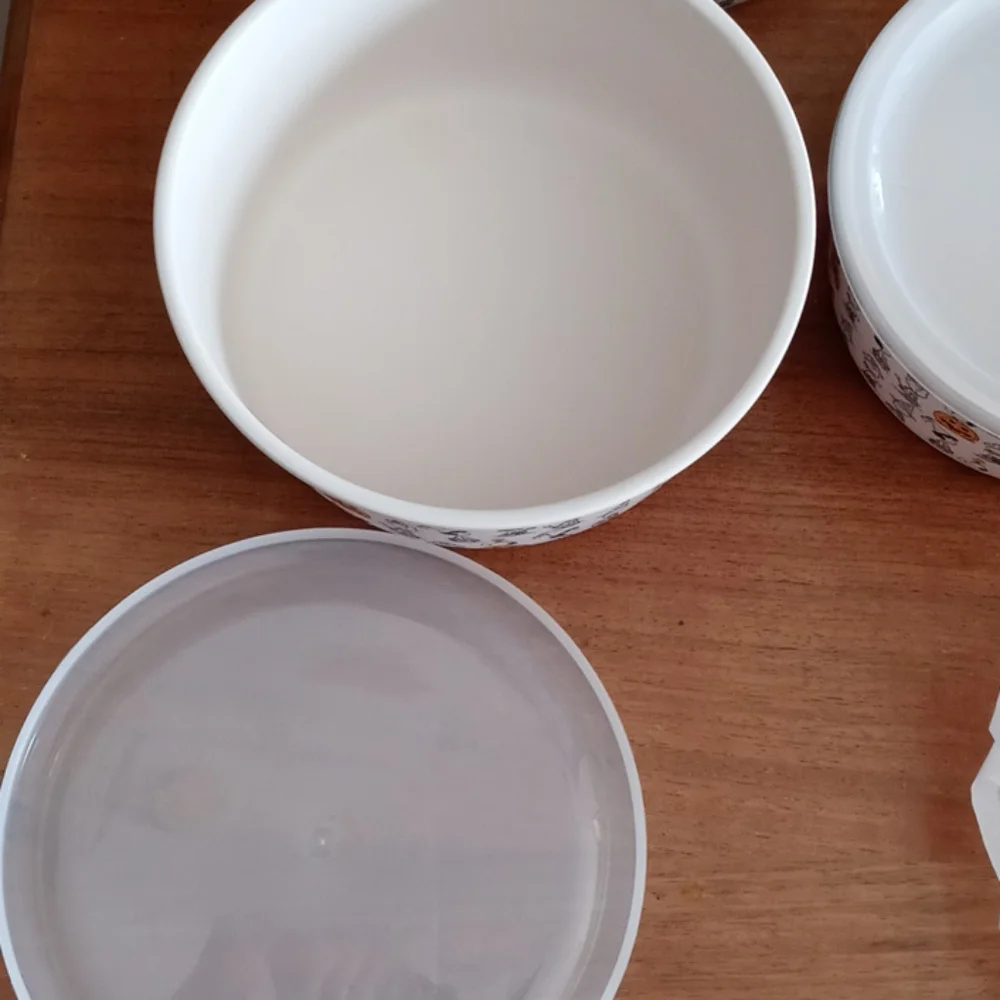 Halloween snoopy bamboo bowls